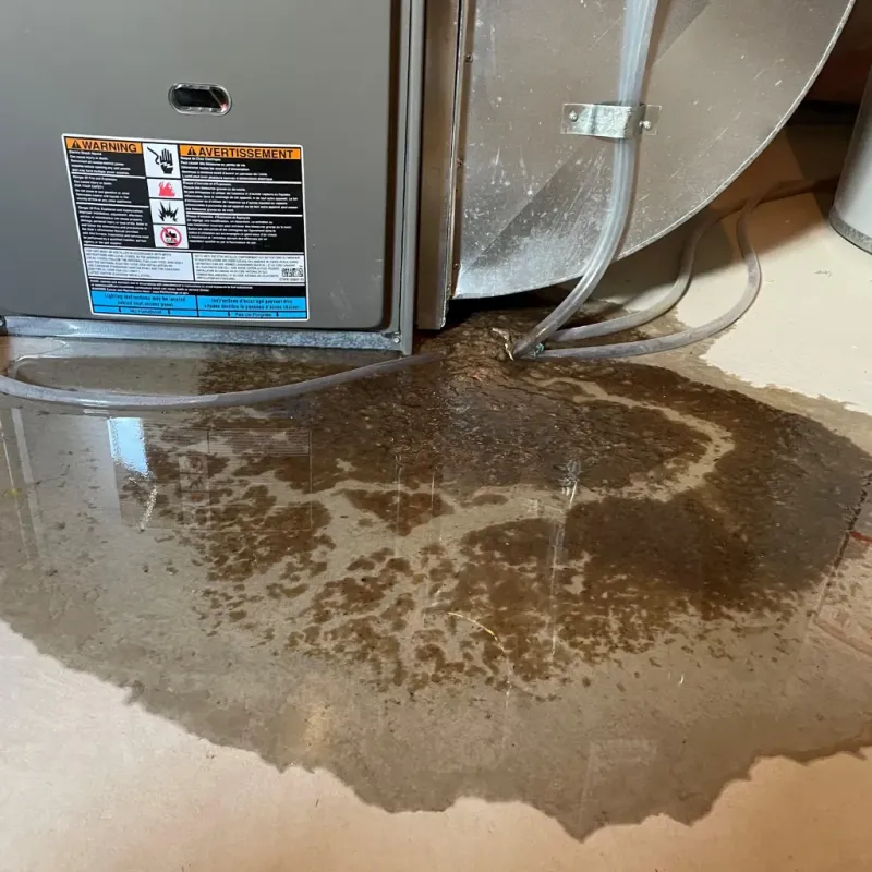 Appliance Leak Cleanup in Scott County, IN